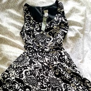 NWT New Cache Dress Black and White sz 6